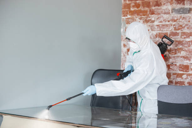 Professional Mold Removal & Remediation in Fall Creek, WI